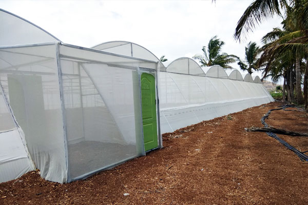 Shade net house discount